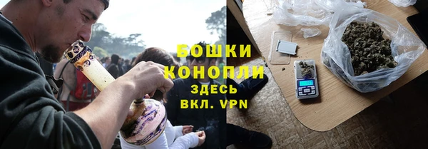 прущие грибы Горняк