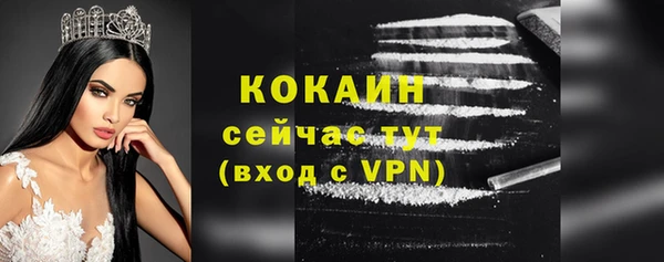 прущие грибы Горняк