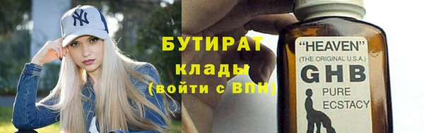 прущие грибы Горняк