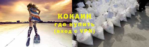 прущие грибы Горняк