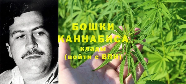 ALPHA PVP Горно-Алтайск
