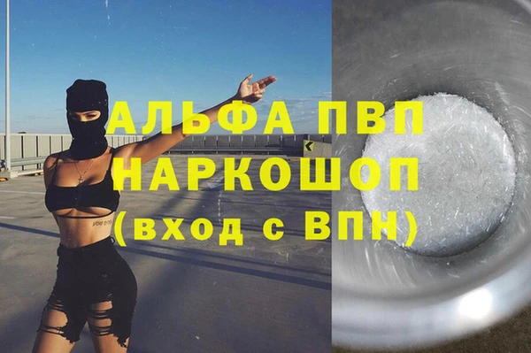 прущие грибы Горняк