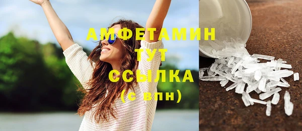 прущие грибы Горняк